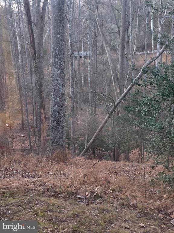 Building Photo - 12048 Winding Creek Ct