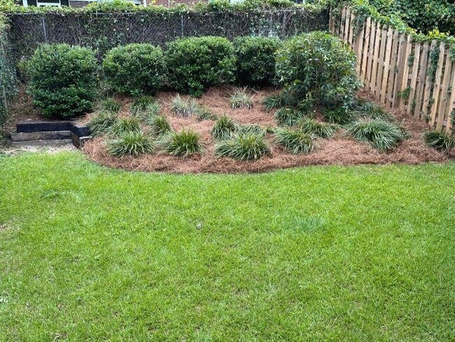 Building Photo - 815 Ashlyn Forest Dr
