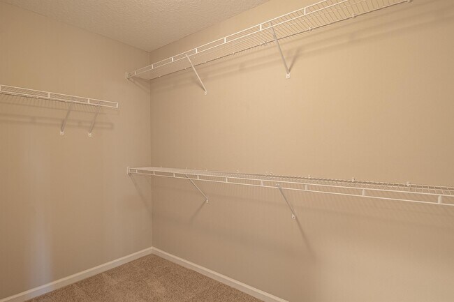 Building Photo - 1303 Windrow Dr