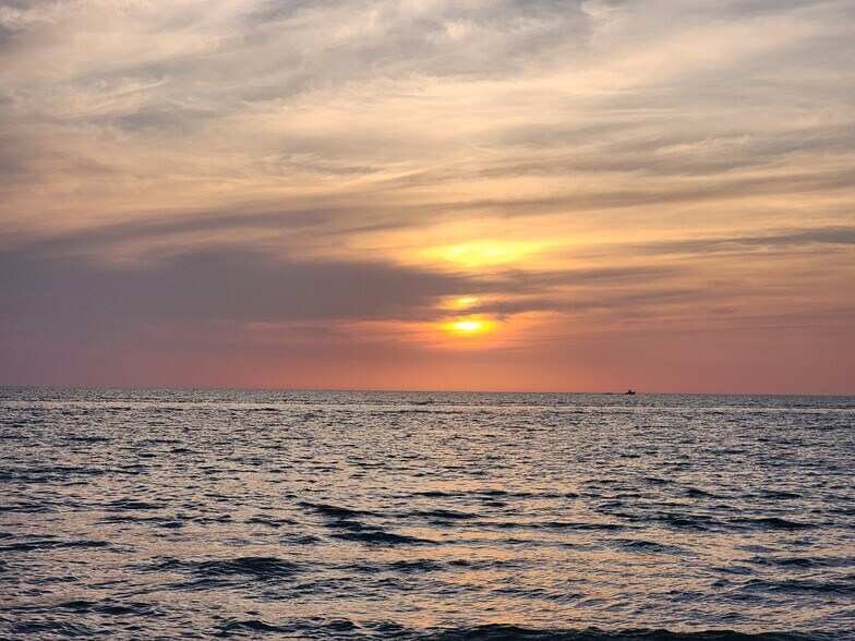 Building Photo - 186 Pebble Shores Dr