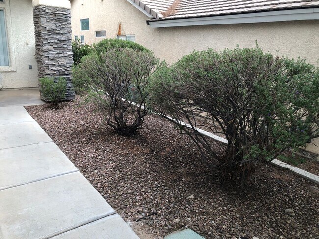 Building Photo - Honey, I’m Home! This Lovely 3 Bedroom, Two-Story Home Is Located In Summerlin.