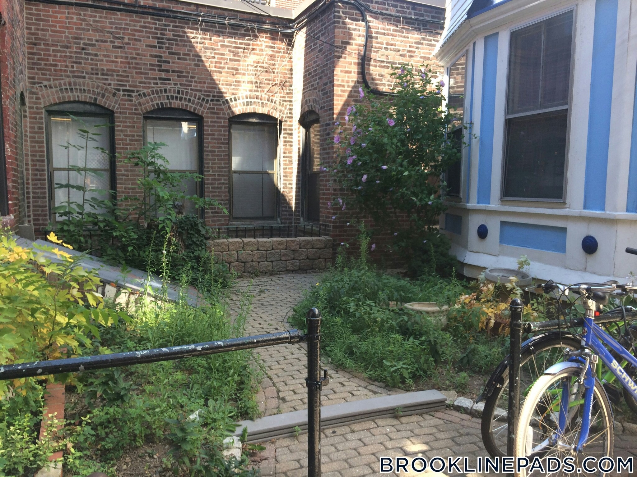 Building Photo - 37 Harvard St