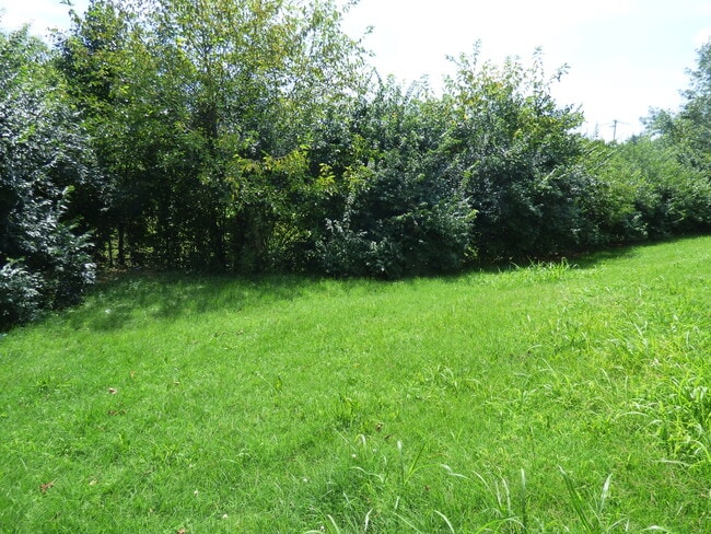 Building Photo - COMING SOON! Spacious Townhouse, W/D Hookups, Off-Street Parking, All Electric!