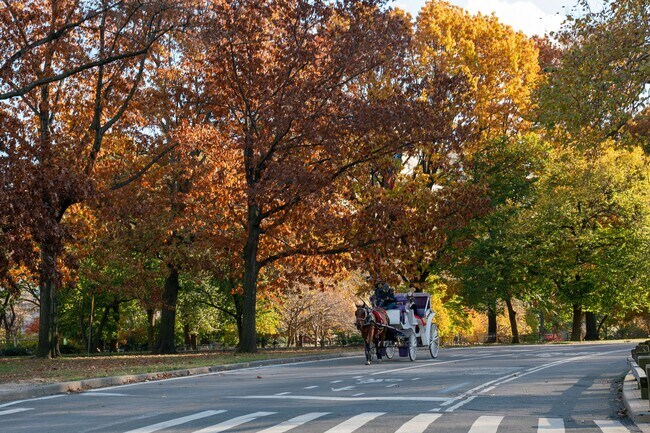 Building Photo - 1255 5th Ave