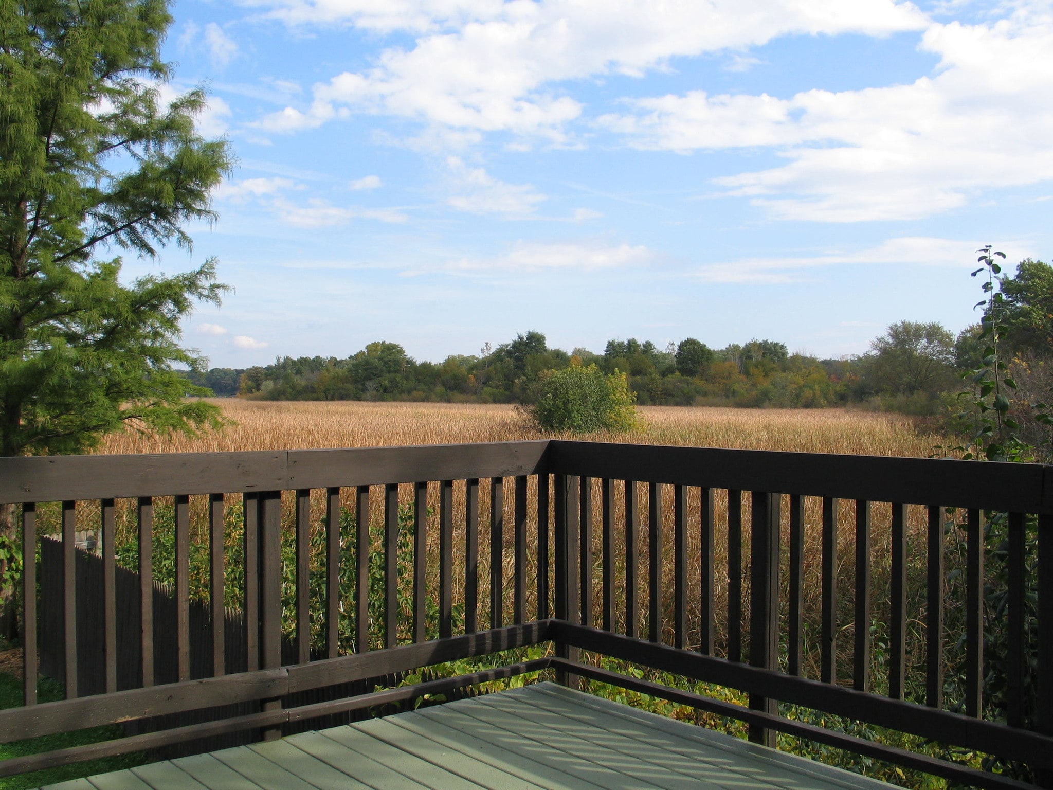 Deck view off the Kitchen - 34783 N Gerberding Ave