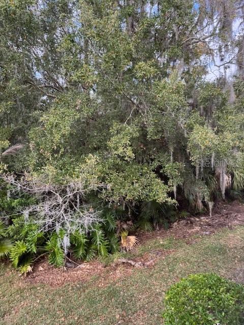 Building Photo - 122 Cypress Ln