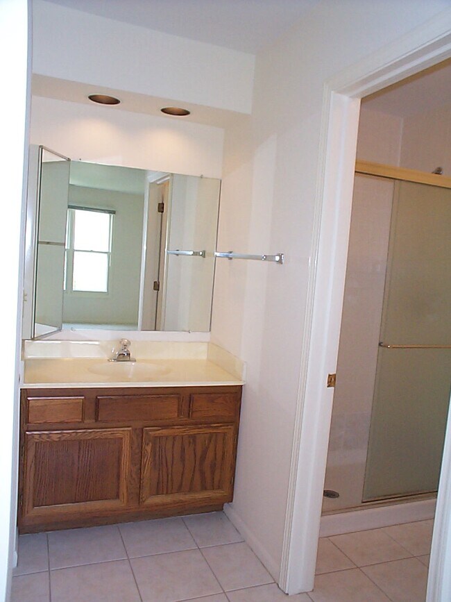 MASTER BATHROOM - 1282 N Streamwood Ln