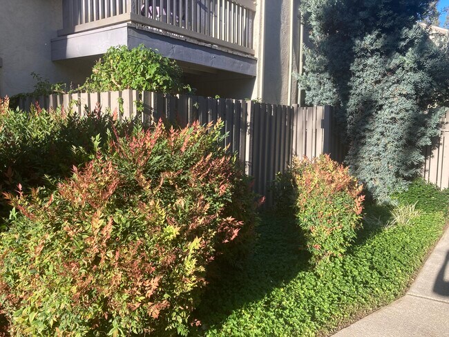 Patio - 1241 Homestead Ave