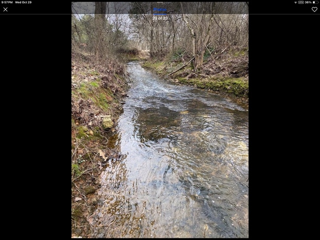 Building Photo - 26558 Martin Branch Rd