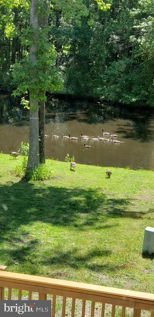 Building Photo - 313 Barton Run Blvd