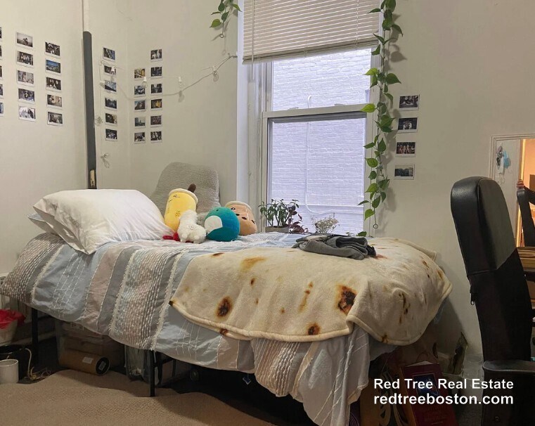 Building Photo - 210 Hemenway St