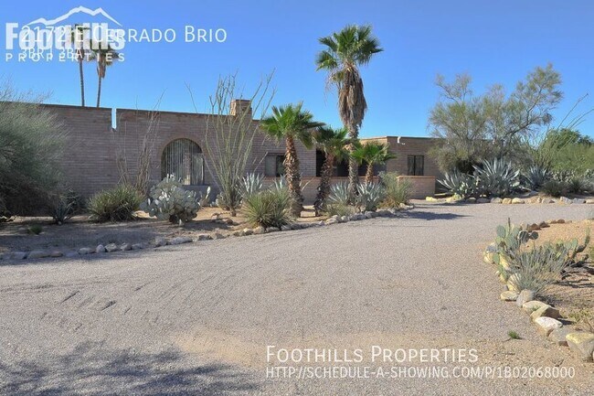 Building Photo - 2172 E Cerrado Brio