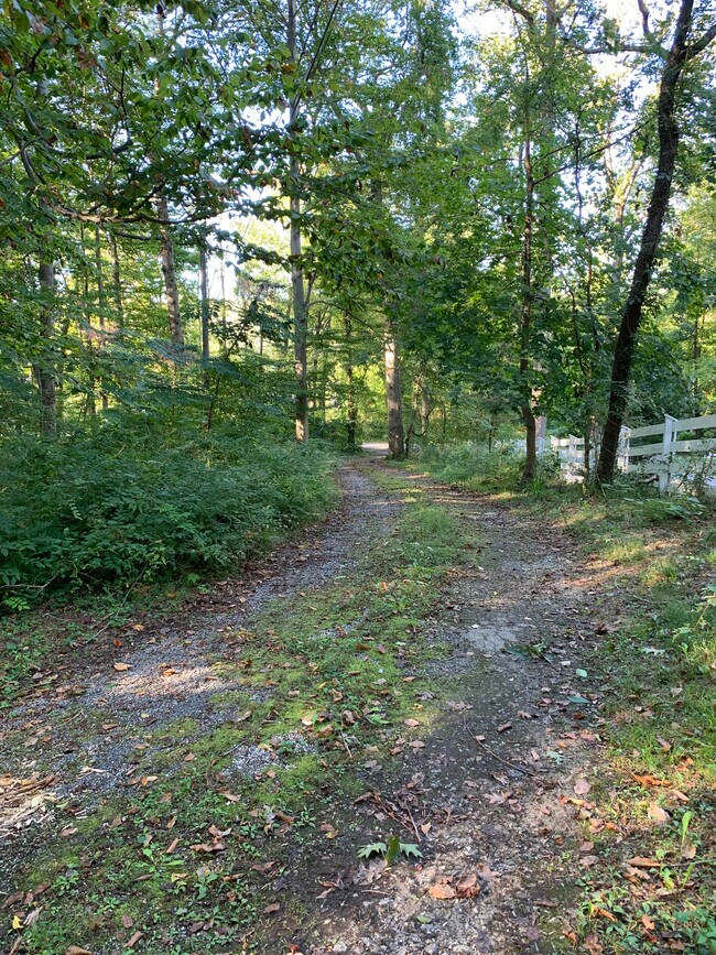 Long driveway leading down to Cliffholme Road - 5 Cliffholme Rd