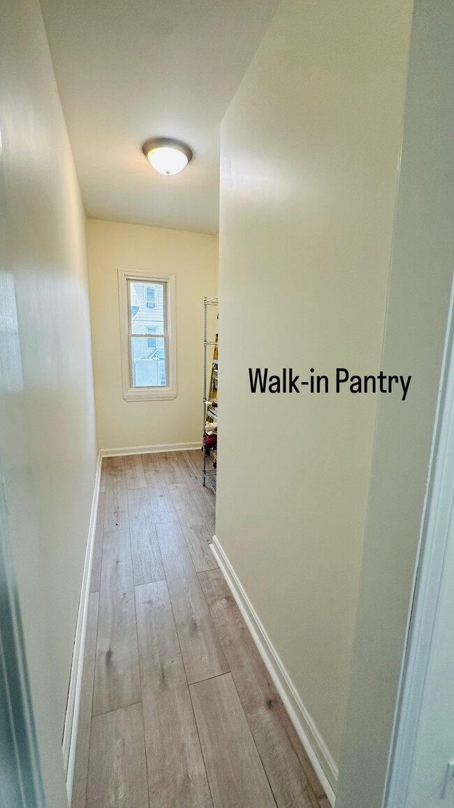 Walk-in pantry - 39 Mansfield St