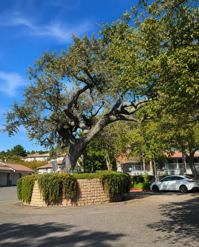 Building Photo - 2222 Los Feliz Dr