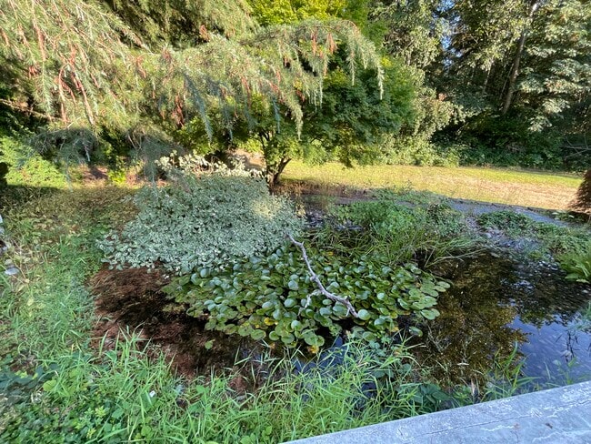 Building Photo - 707 125th Pl NW