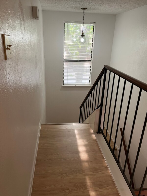 Building Photo - 2932 Canis Cir