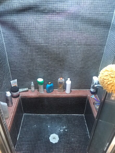 shower over sitting tub - 1815 40th Ave