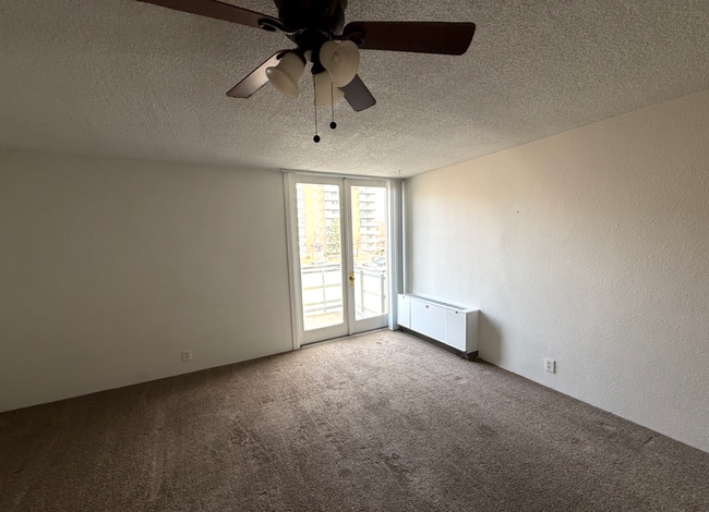 Building Photo - Studio Apartment in DU Area-Parking and Storage!