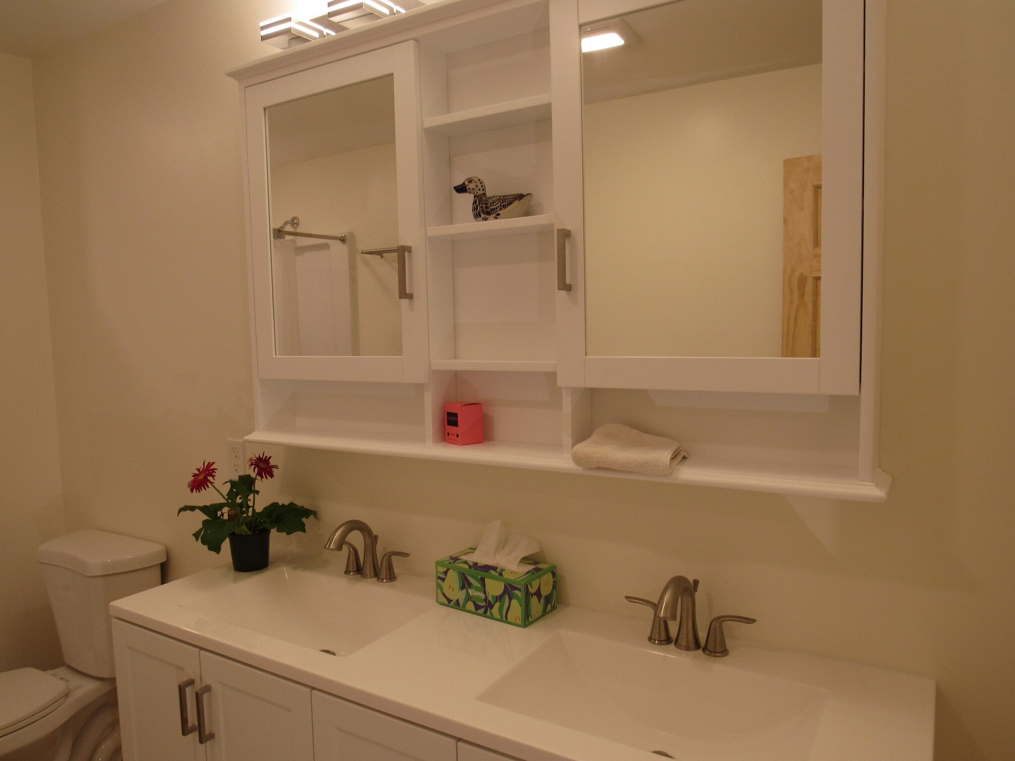 DUAL BATHROOM SINKS! - 57 River Rd