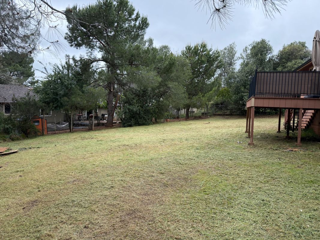 Building Photo - 16656 Pinecrest Ct