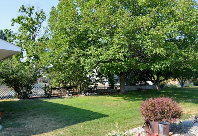 Building Photo - Spacious Cottage on 1/2 Acre Lot