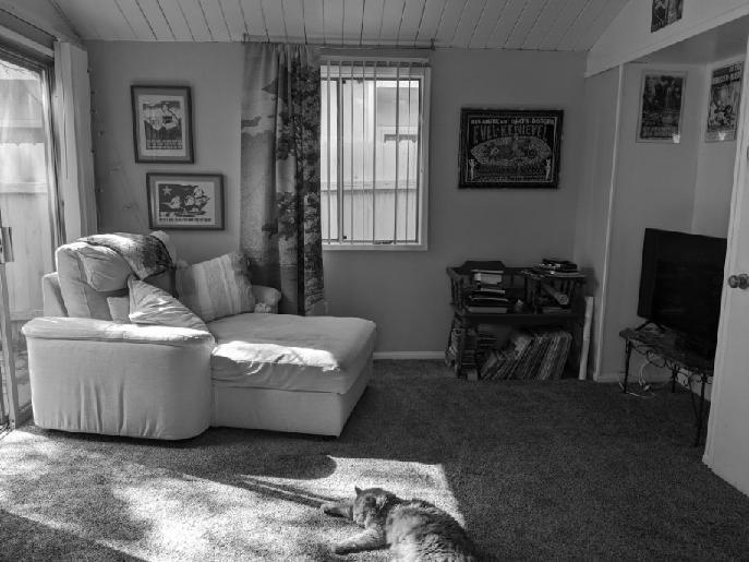 Living Room - 5616 Riley St