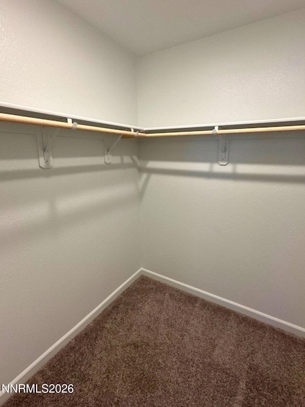 Building Photo - 501 Paradise Creek Dr