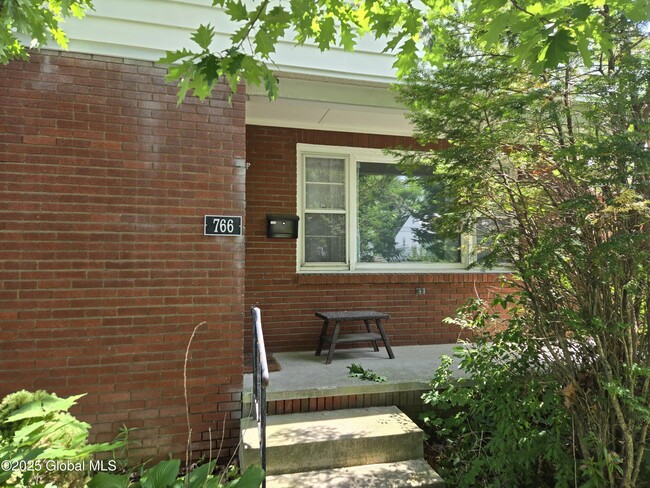 Primary Photo - 766 New Scotland Ave