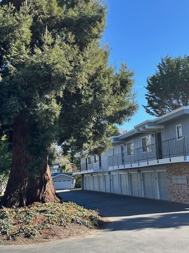 Building Photo - Capitola Vibes
