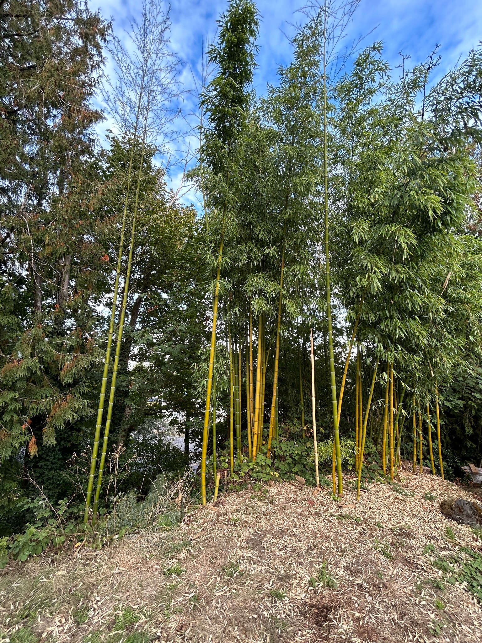 Building Photo - 10714 24th Ave NE