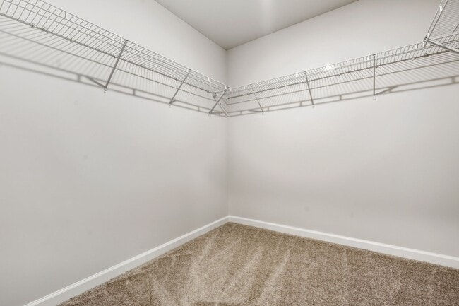 Building Photo - BRAND NEW! - 3 bed, 2.5 Bathroom End Unit Townhome - Located in The Solana Community -Durham- Ava...