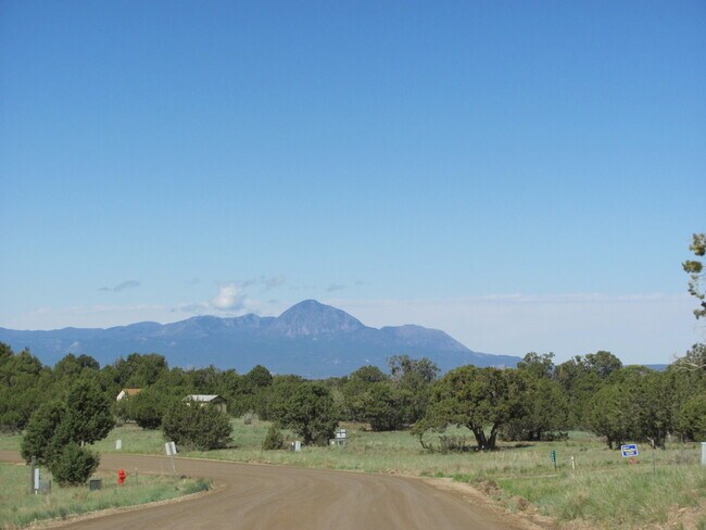 Building Photo - Charming Southwestern Stucco Home