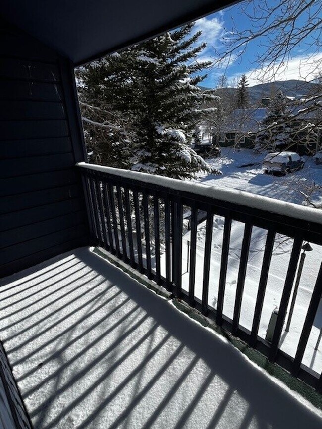 Building Photo - Winter Seasonal Rental- Lakeside Townhouses #3