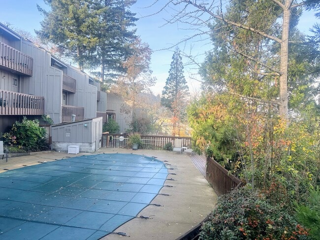 Building Photo - 339 Ravenwood Pl