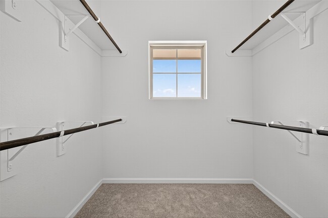 Building Photo - 5607 Foggy Vine Ct