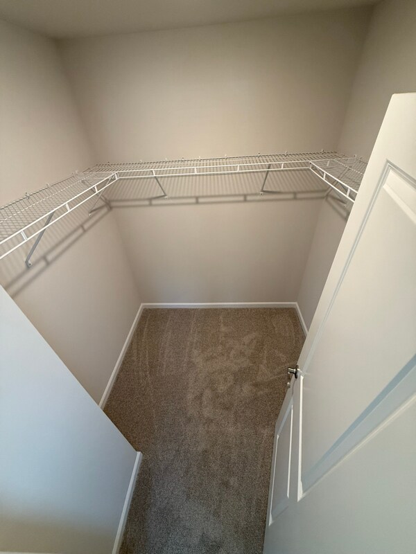 Building Photo - 1027 Winding Spg Dr