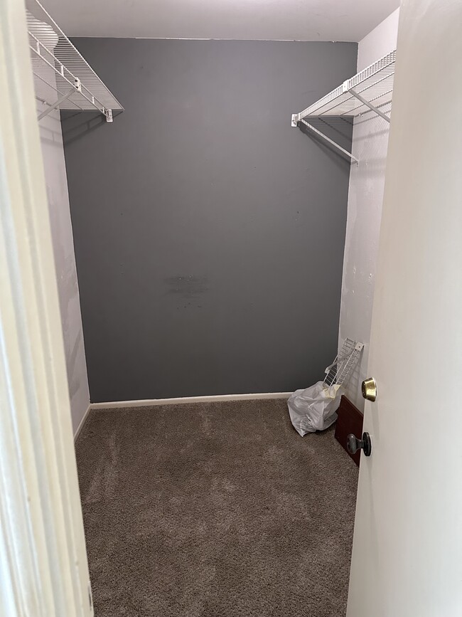 Huge walk in closet - 725 S Barrington Ave