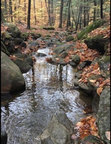 Hiking trail from property - 34 Marsten Ln
