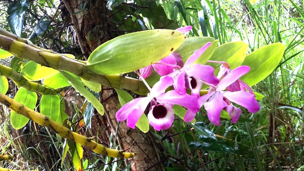 Building Photo - 15-1414 24th Ave