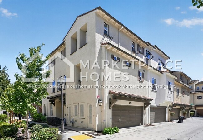 Building Photo - 222 Miro Ave
