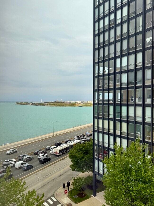 Building Photo - 900 N Lake Shore Dr