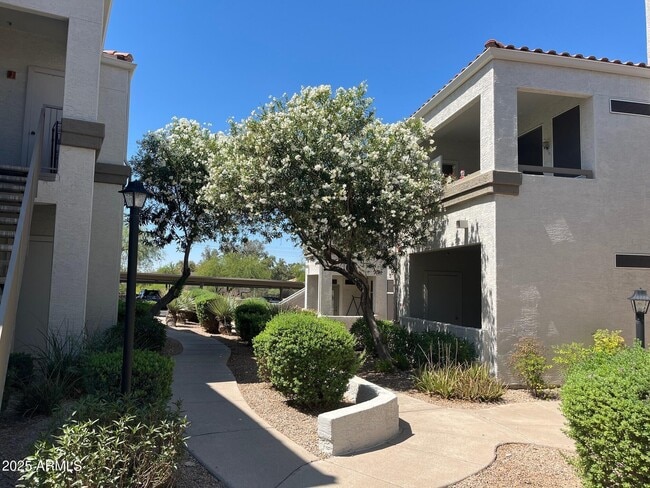 Primary Photo - 11375 E Sahuaro Dr