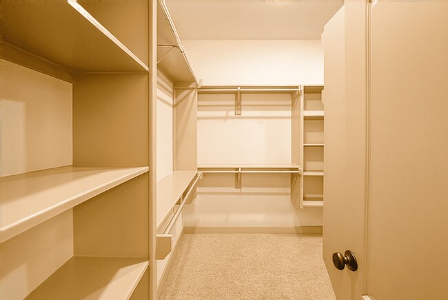 Building Photo - 23715 Tristan Bay Ct