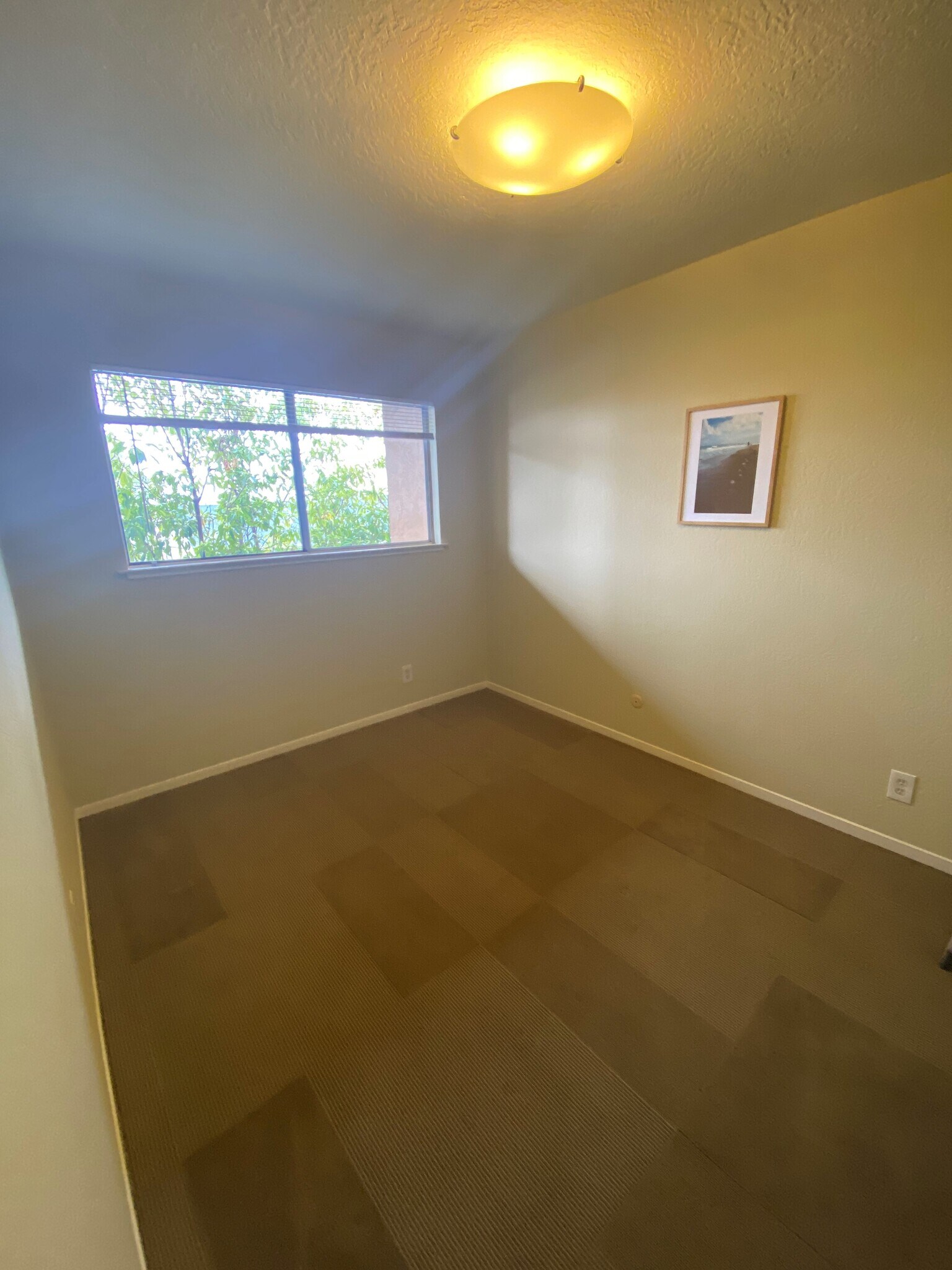 Primary bedroom with west facing outlook - 3833 Maybelle Ave