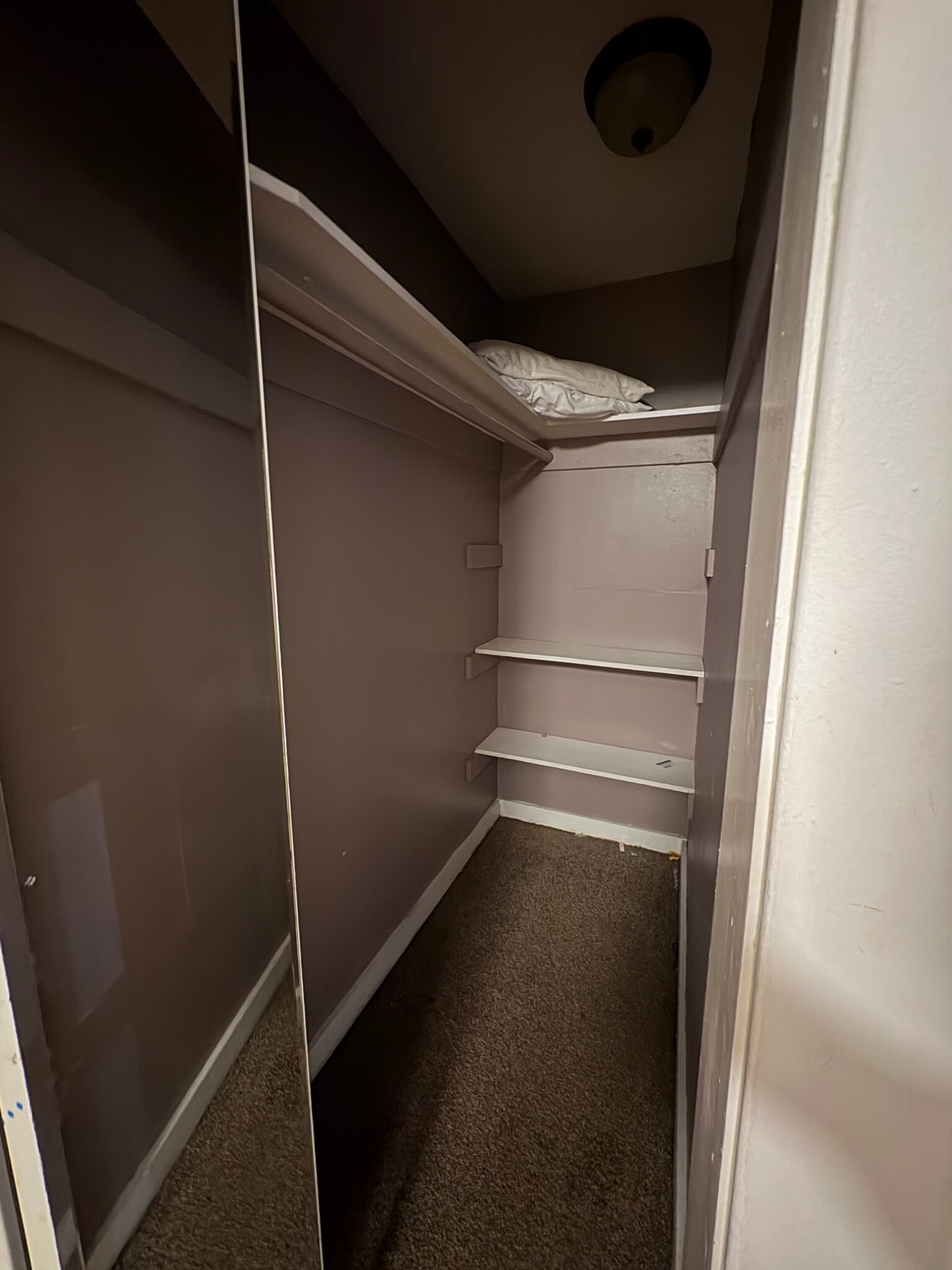 walk-in closet - 659 Lafayette Ave
