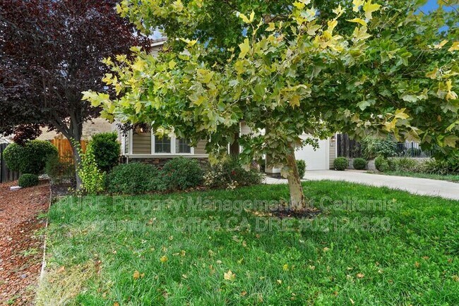 Building Photo - 4909 Concordia Dr