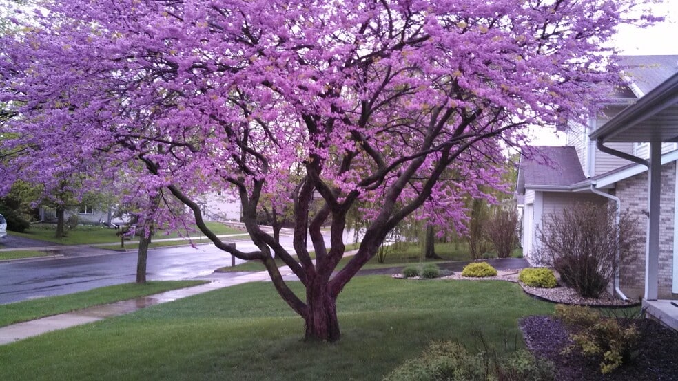 Building Photo - 3101 Dorchester Way