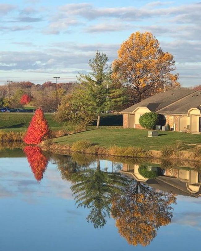 Building Photo - Spacious One Bedroom with Walk-In Closet!