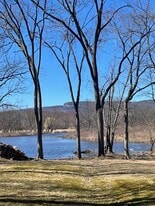 View from rear garden - 123 Huguenot St